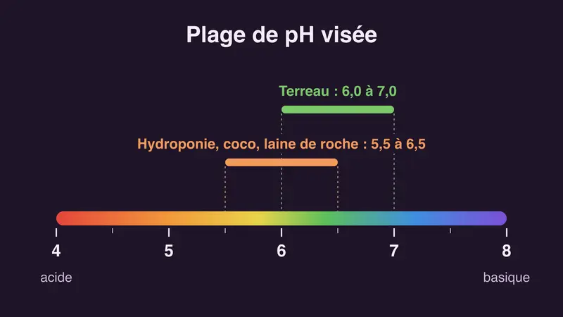 Échelle de pH de 4 à 8 : plage visée de 5,5 à 6,5 en hydroponie, coco et laine de roche, de 6,0 à 7,0 en terreau