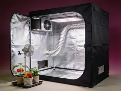 Illustration : tente de culture équipée d’une lampe LED et d’une extraction d’air
