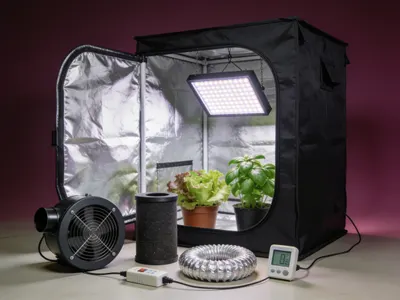Illustration : tente de culture équipée d’une lampe LED et d’une extraction d’air