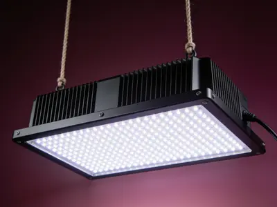 Illustration : lampe LED de culture pour petit espace