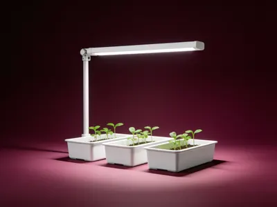 Illustration : lampe LED pour semis