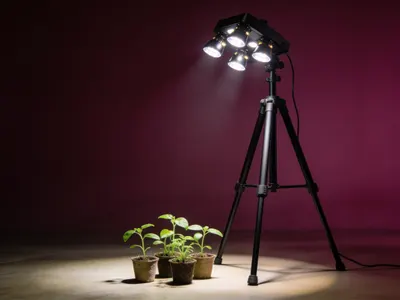 Illustration : lampe LED pour semis