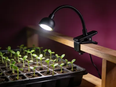 Illustration : lampe LED pour semis