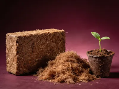 Illustration : terreau ou substrat de culture